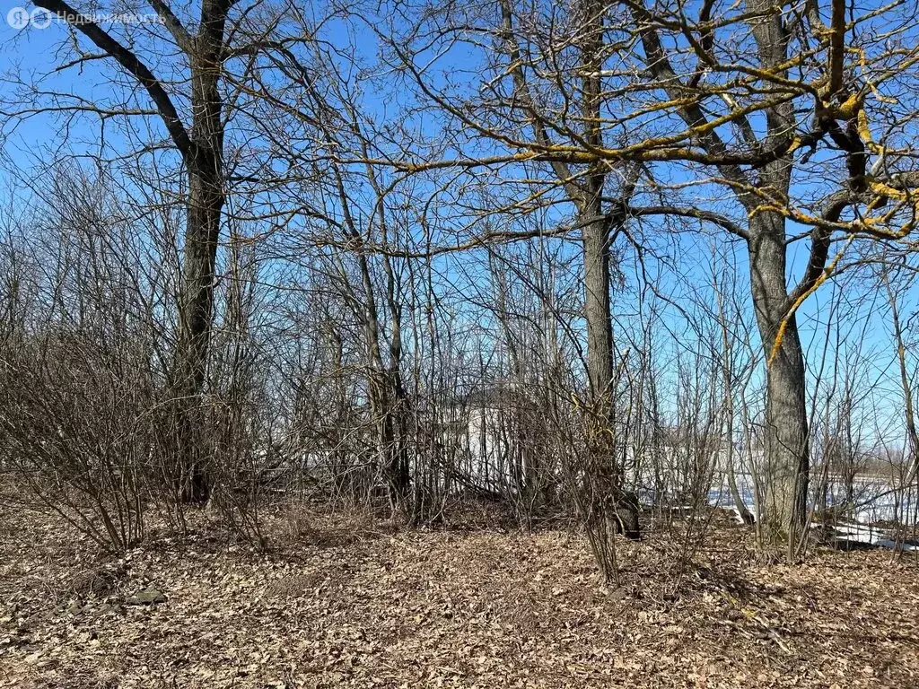 Участок в Московская область, городской округ Серпухов, деревня ... - Фото 2