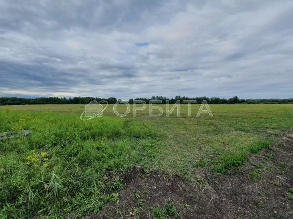 Участок в Тюменская область, Тюмень Велижанский тракт, 9-й км (45.0 ... - Фото 1