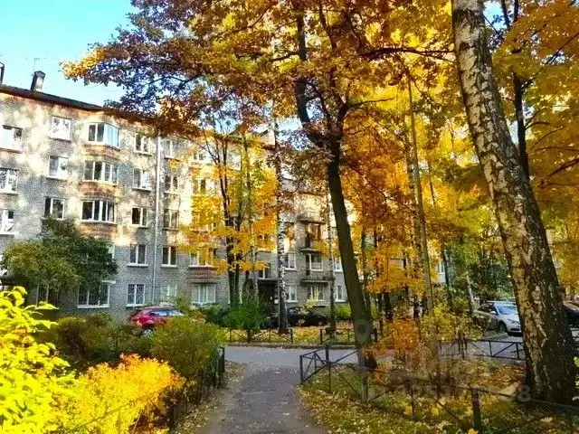 2-к кв. Санкт-Петербург Светлановский просп., 9 (44.0 м) - Фото 1