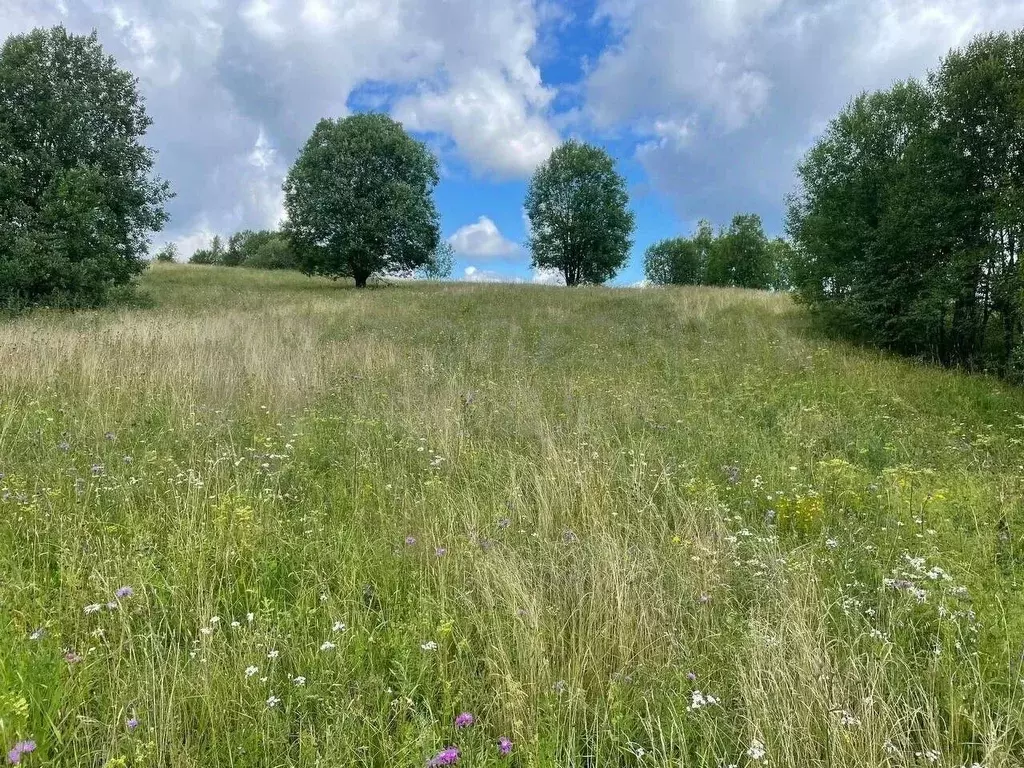 Участок в Новгородская область, Окуловка Славная ул., 26 (302.1 сот.) - Фото 1
