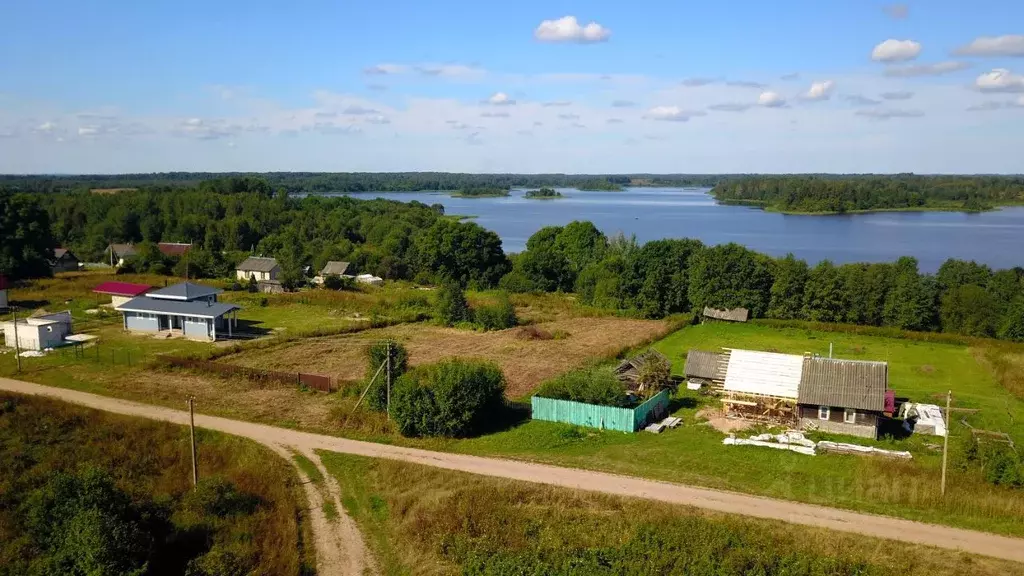 Участок в Псковская область, Куньинский район, Жижицкая волость, д. ... - Фото 1