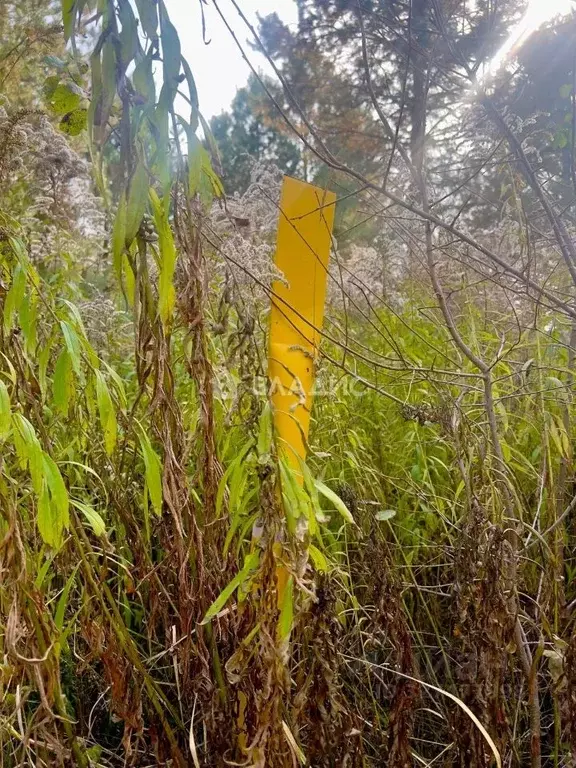 Участок в Пензенская область, Пенза Камыши садовое дачное ... - Фото 2