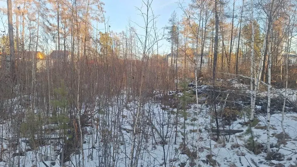 Участок в Саха (Якутия), Мегино-Кангаласский улус, Нижний Бестях пгт  ... - Фото 1