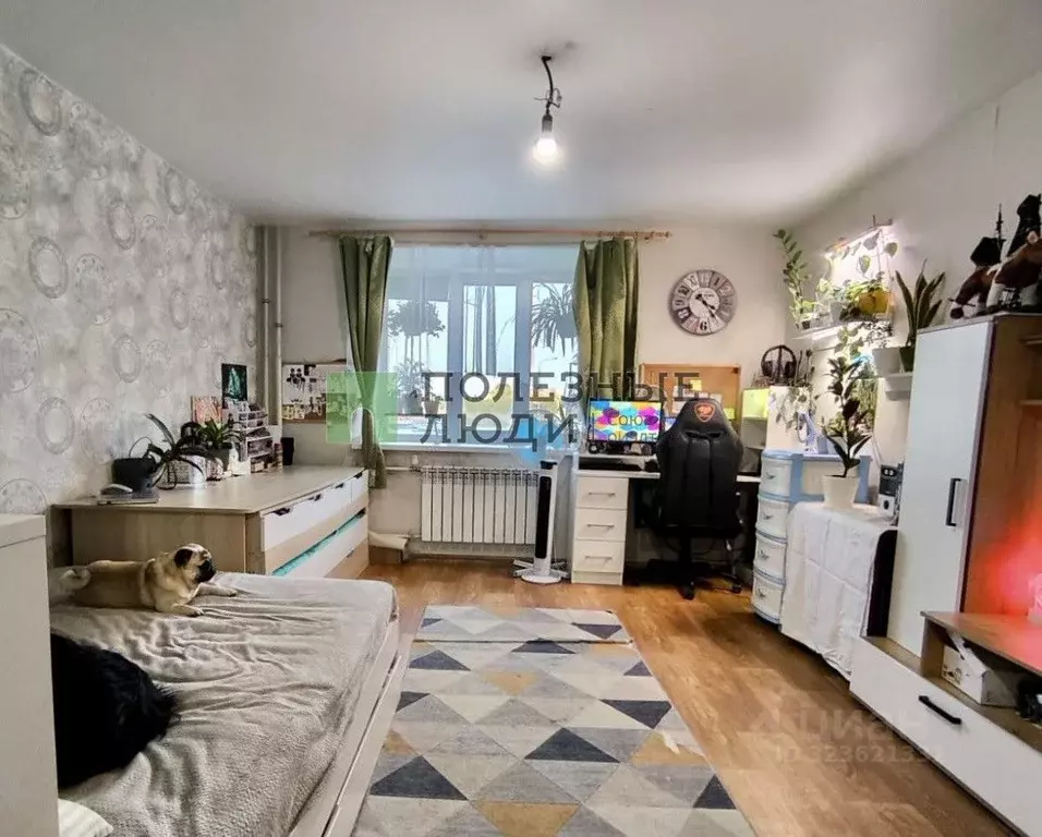 Студия Тамбовская область, Тамбов ул. Запрудная, 8 (34.3 м) - Фото 1