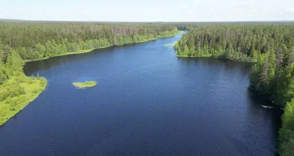 Дом в Ленинградская область, Выборгский район, Рощино городской ... - Фото 2