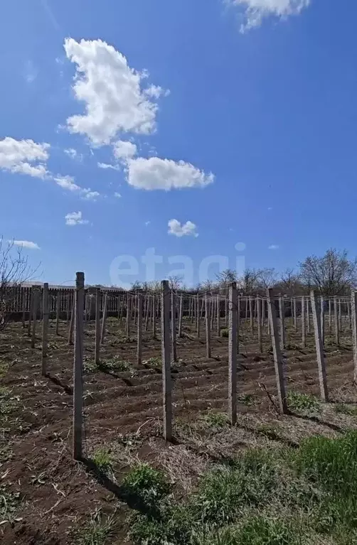 Участок в Крым, Сакский район, Новофедоровка пгт ул. Строителей (6.0 ... - Фото 1