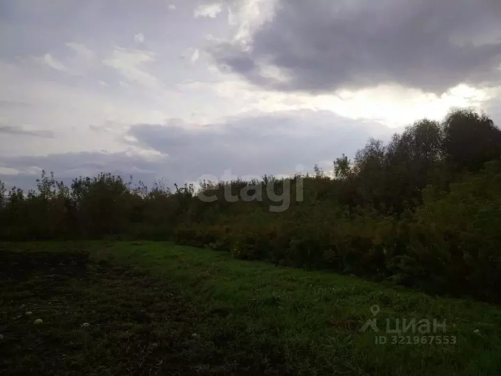 Участок в Алтайский край, Алтайский район, с. Старобелокуриха ... - Фото 1