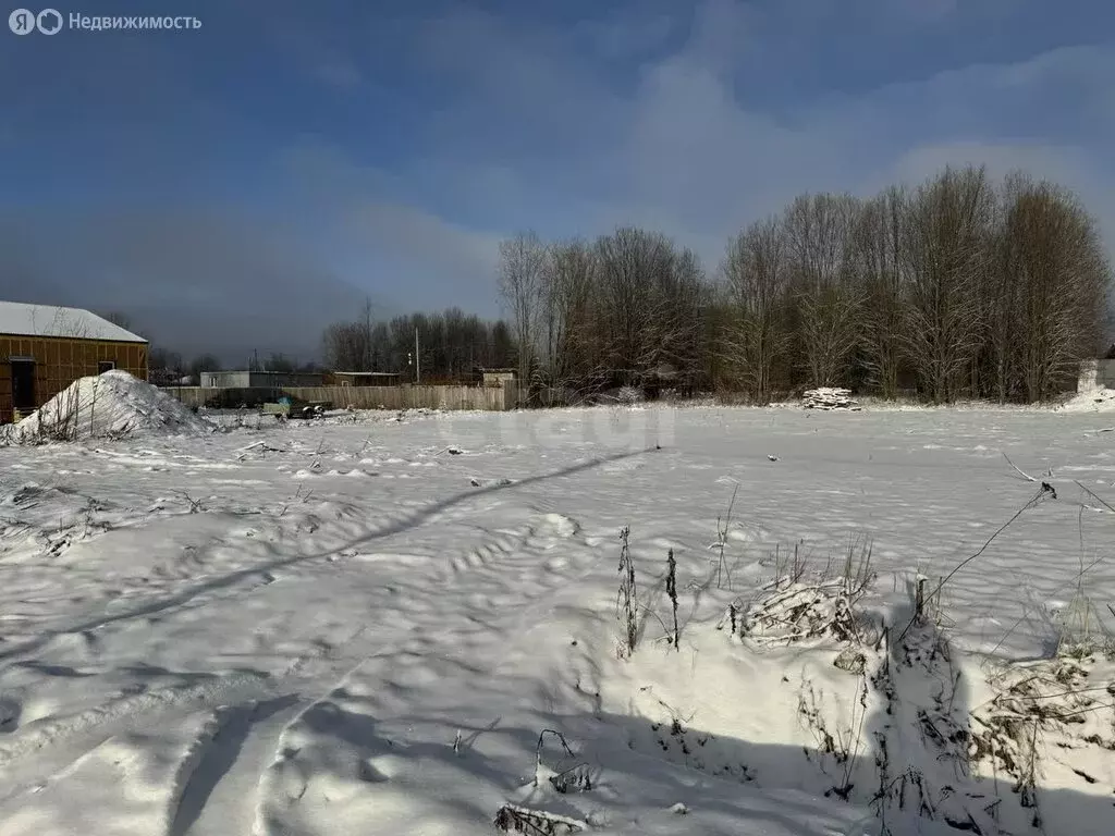 Участок в Череповецкий район, Ирдоматское сельское поселение, деревня ... - Фото 0