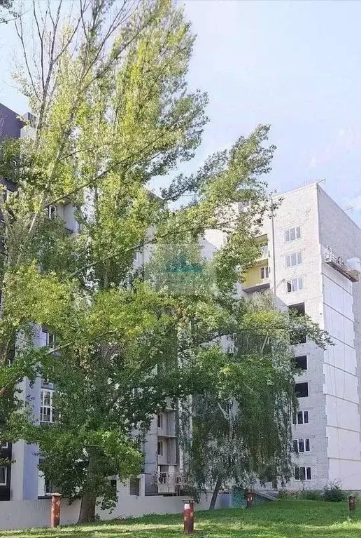 1-к кв. Саратовская область, Саратов Перспективная ул., 10Б (45.09 м) - Фото 1