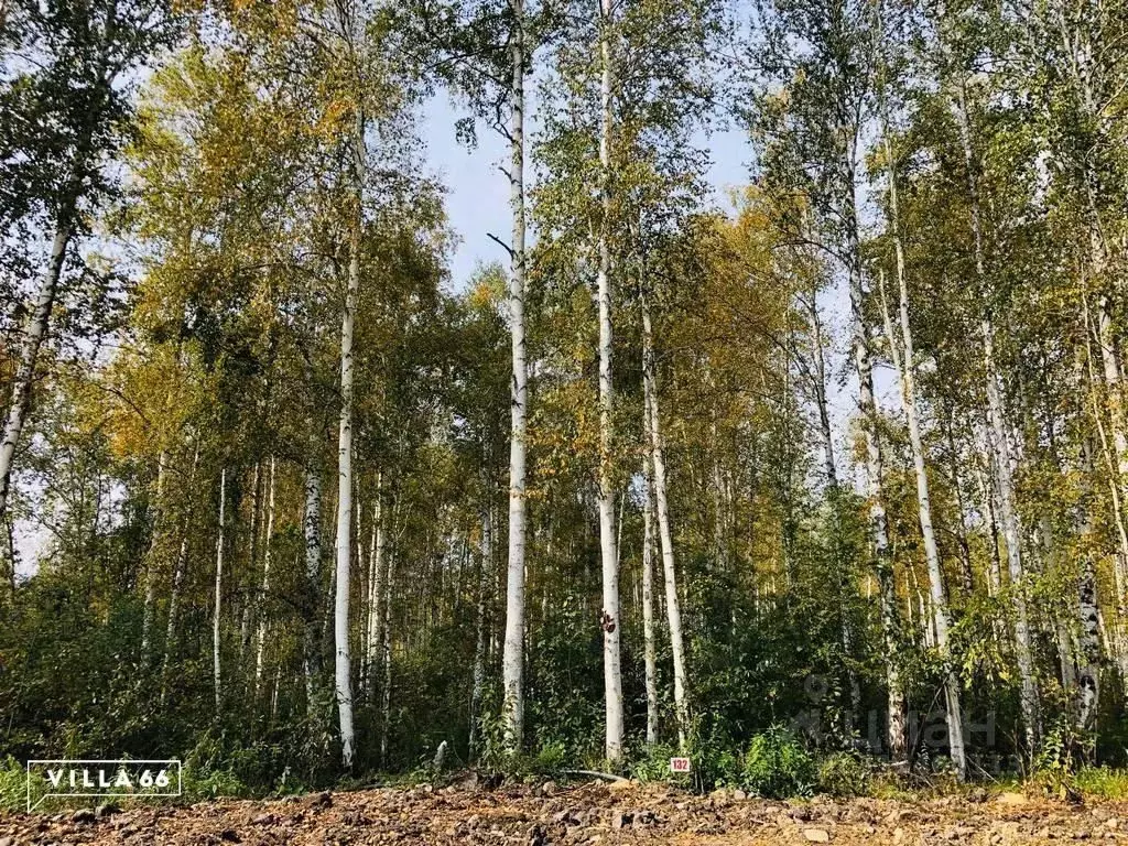 Участок в Свердловская область, Сысертский муниципальный округ, ... - Фото 0