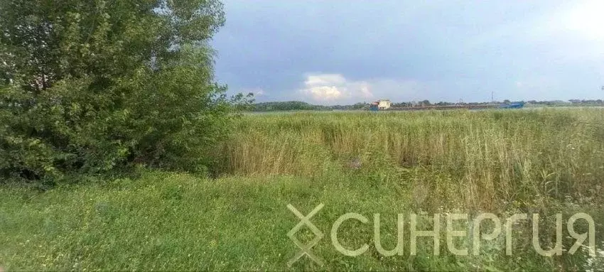 Участок в Ростовская область, Азовский район, Елизаветинское с/пос, ... - Фото 2