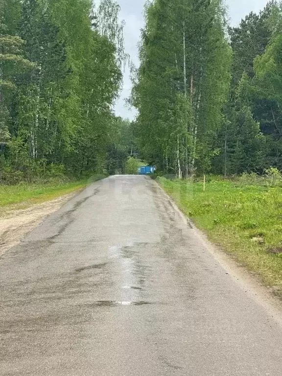 Участок в Красноярский край, Емельяновский муниципальный округ, ... - Фото 2