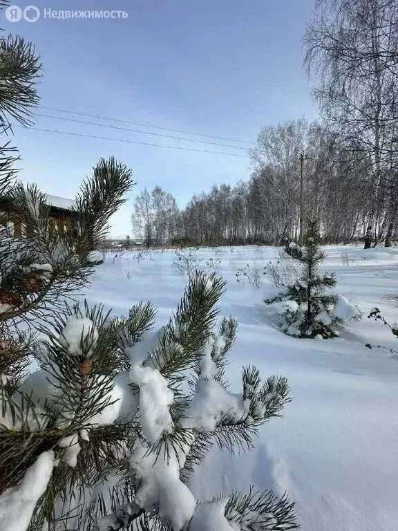 Дом в посёлок Бишкиль, Западная улица (98.1 м) - Фото 1