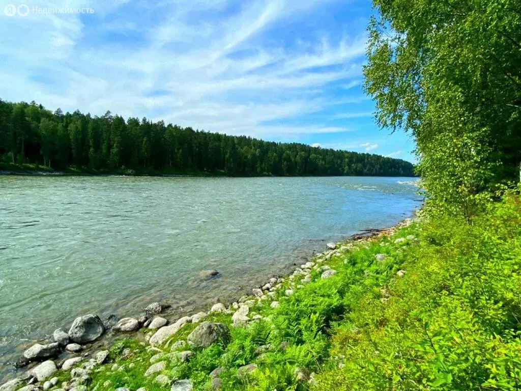 Участок в Турочакский район, село Верх-Бийск (1180 м) - Фото 0