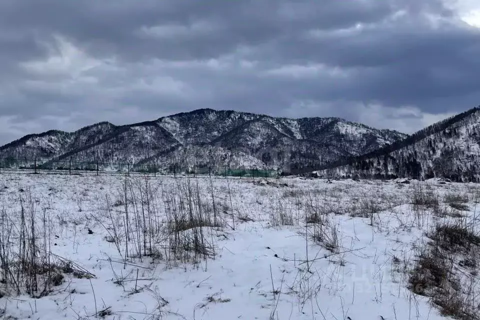 Участок в Алтай, Майминский район, с. Подгорное  (10.0 сот.) - Фото 2
