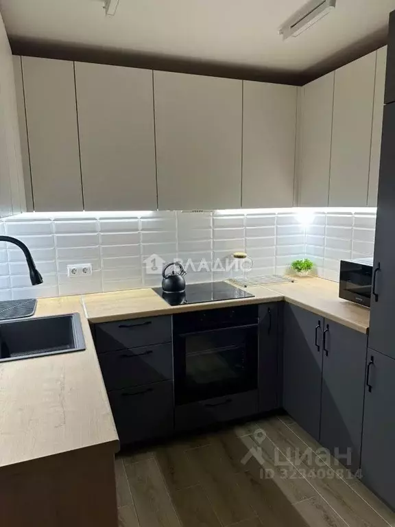 1-к кв. Владимирская область, Владимир ул. Диктора Левитана, 48 (32.0 ... - Фото 2