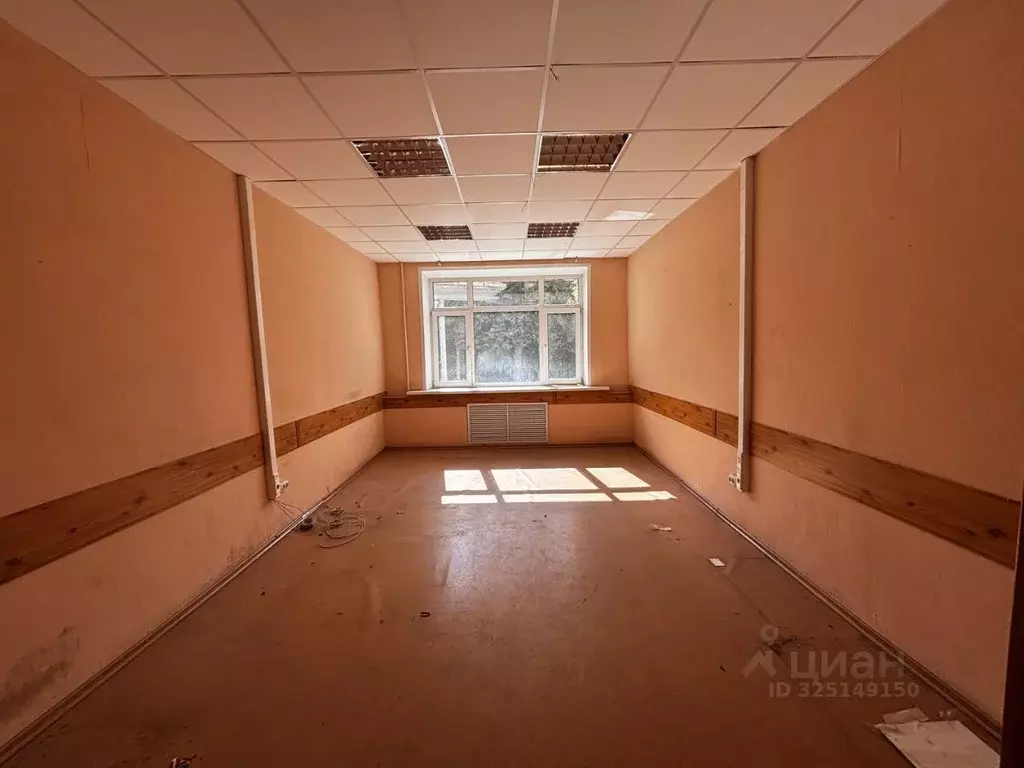 Помещение свободного назначения в Пензенская область, Пенза ул. ... - Фото 1