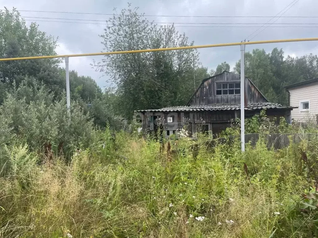 Участок в Томская область, с. Молчаново ул. Кооперативная (15.0 сот.) - Фото 2