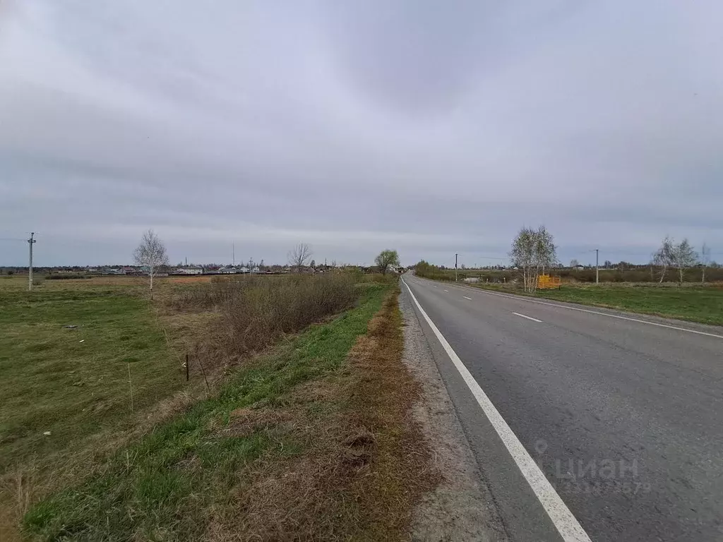 Участок в Курганская область, Курган с. Зайково,  (50.0 сот.) - Фото 2