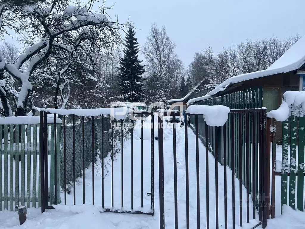 Участок в Ленинградская область, Кировское городское поселение, ... - Фото 1