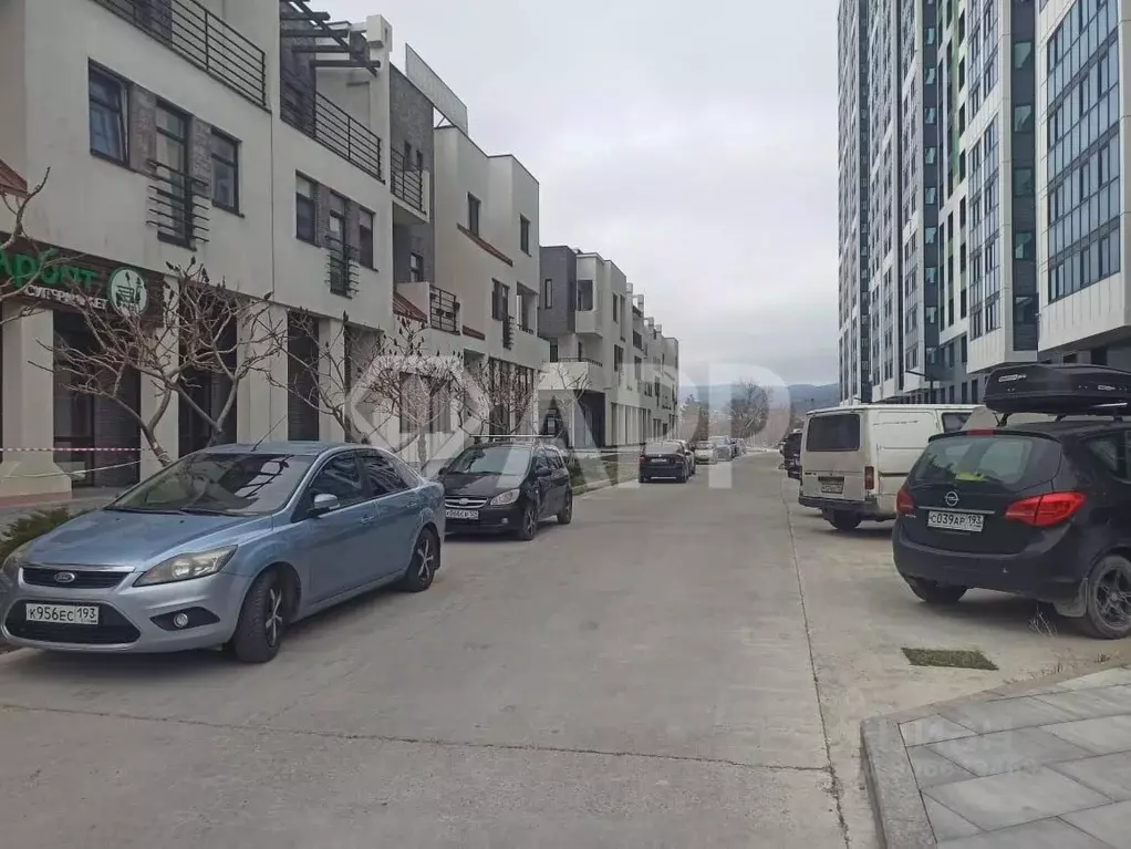 Помещение свободного назначения в Краснодарский край, Новороссийск ул. ... - Фото 1