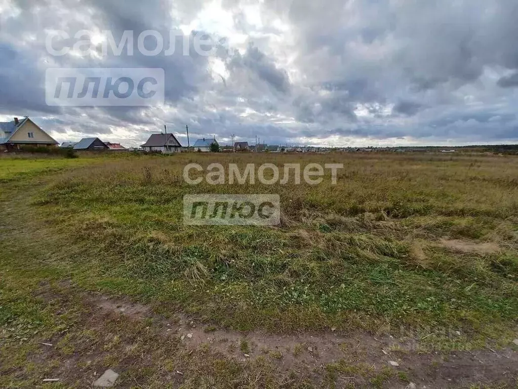 Участок в Вологодская область, с. Сямжа ул. Еремиха (12.0 сот.) - Фото 1