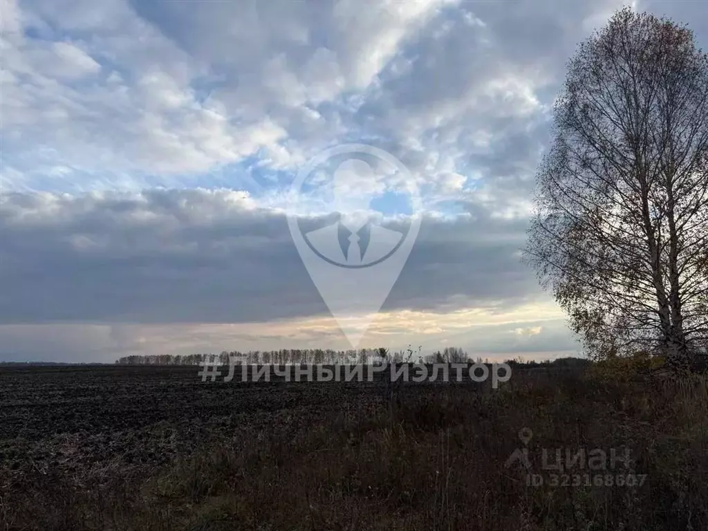 Участок в Рязанская область, Рязань Почтовая ул. (1047.0 сот.) - Фото 1