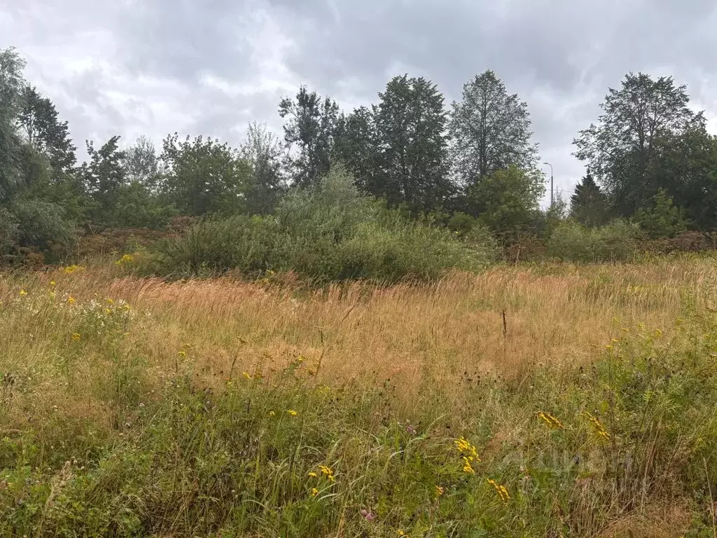 Участок в Московская область, Клин городской округ, с. Борщево  (5.68 ... - Фото 2