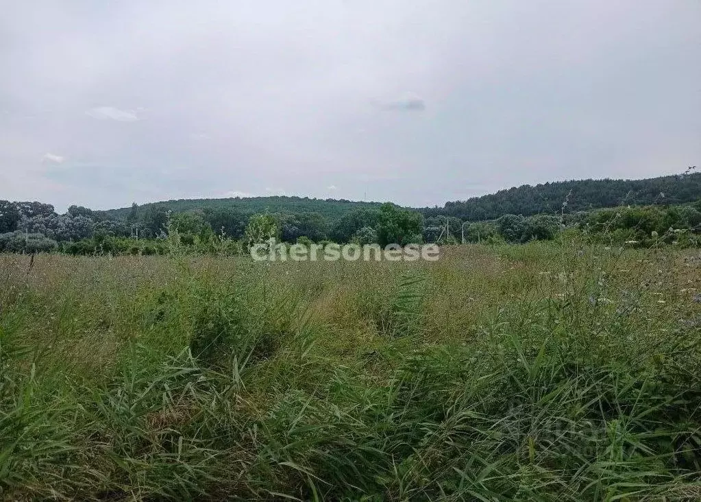 Участок в Севастополь с. Фруктовое, ул. Пушкина (13.5 сот.) - Фото 1