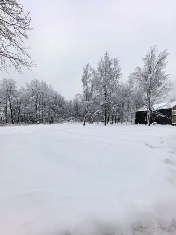 Участок в Московская область, Истра муниципальный округ, с. ... - Фото 1