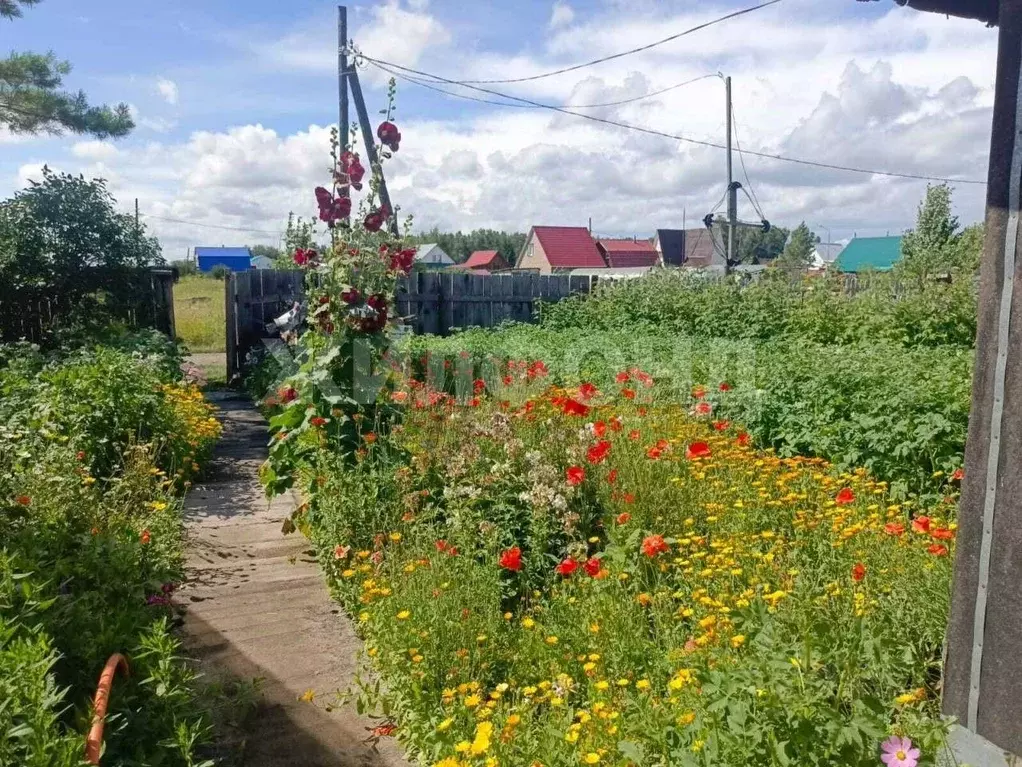 Участок в Новосибирская область, Новосибирский район, Толмачевский ... - Фото 0