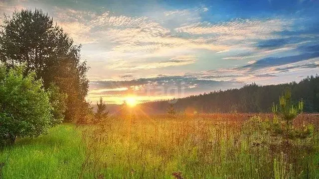 Участок в Нижегородская область, Чкаловск  (50.0 сот.) - Фото 1