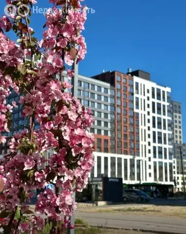 2-комнатная квартира: деревня Патрушева, улица Петра Ершова, 12 (55 м) - Фото 1