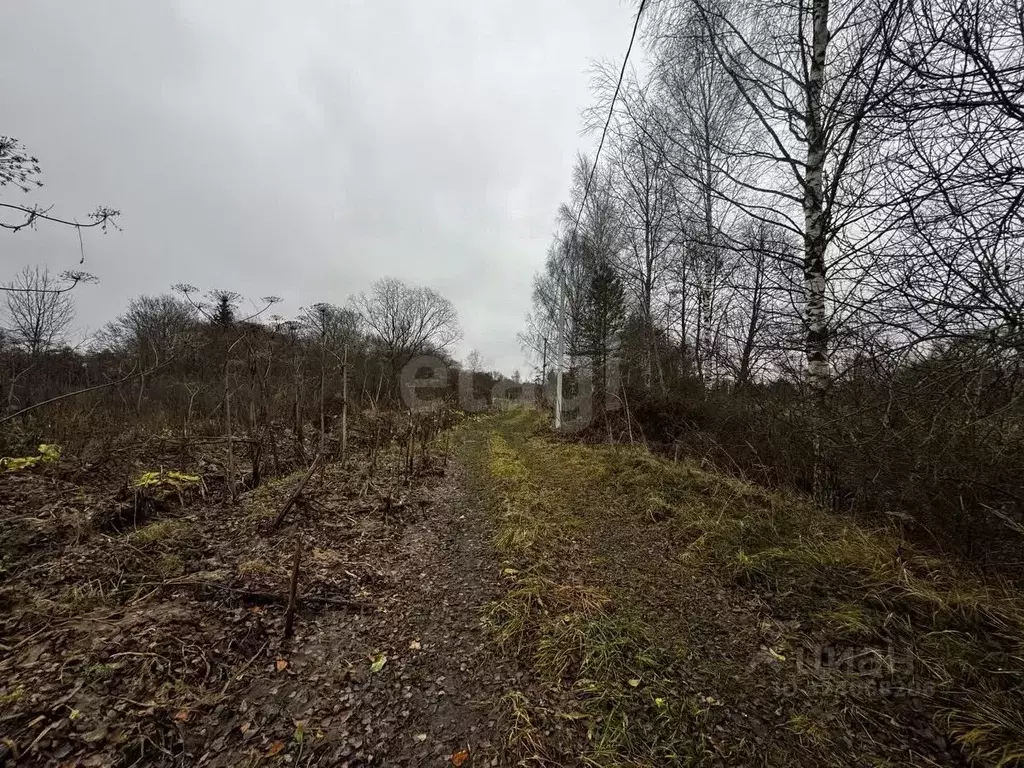 Участок в Тверская область, Калининский муниципальный округ, с. ... - Фото 1