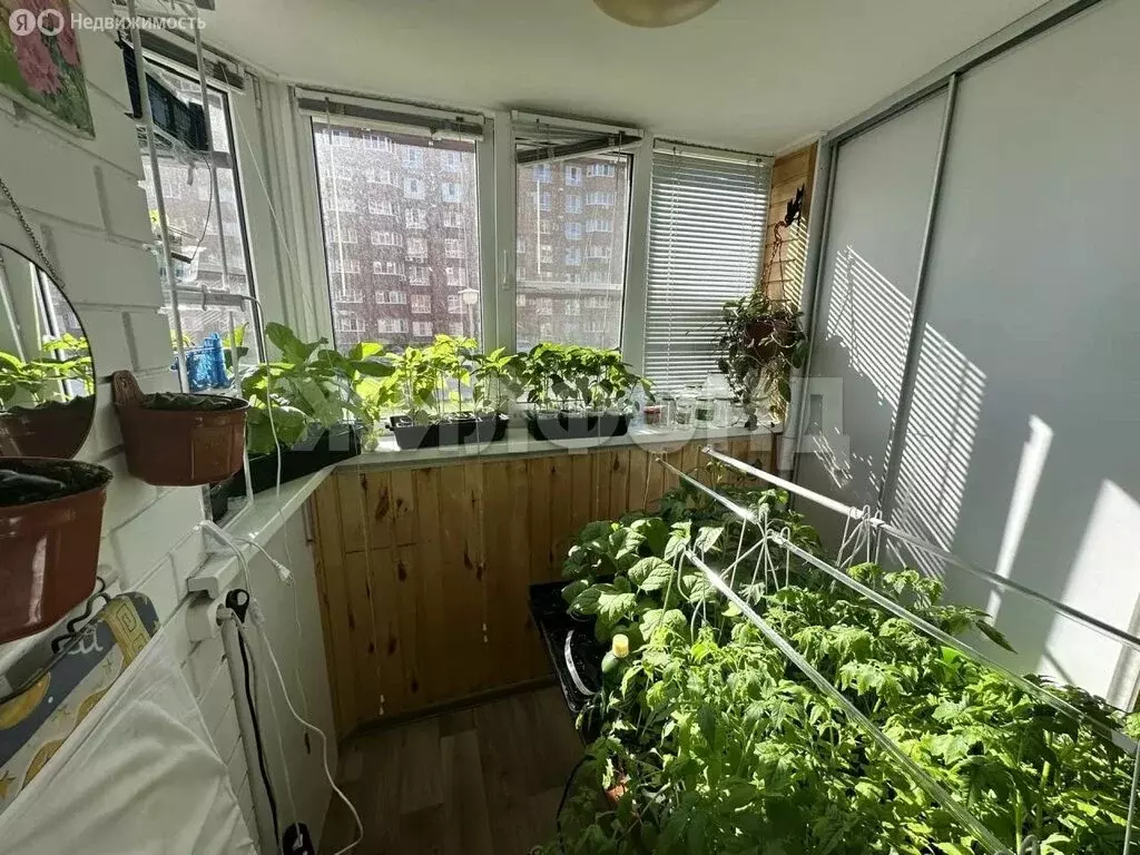 1-комнатная квартира: Тольятти, Спортивная улица, 55 (36.7 м) - Фото 1