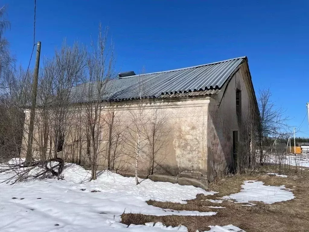 Торговая площадь в Московская область, Можайский муниципальный округ, ... - Фото 1