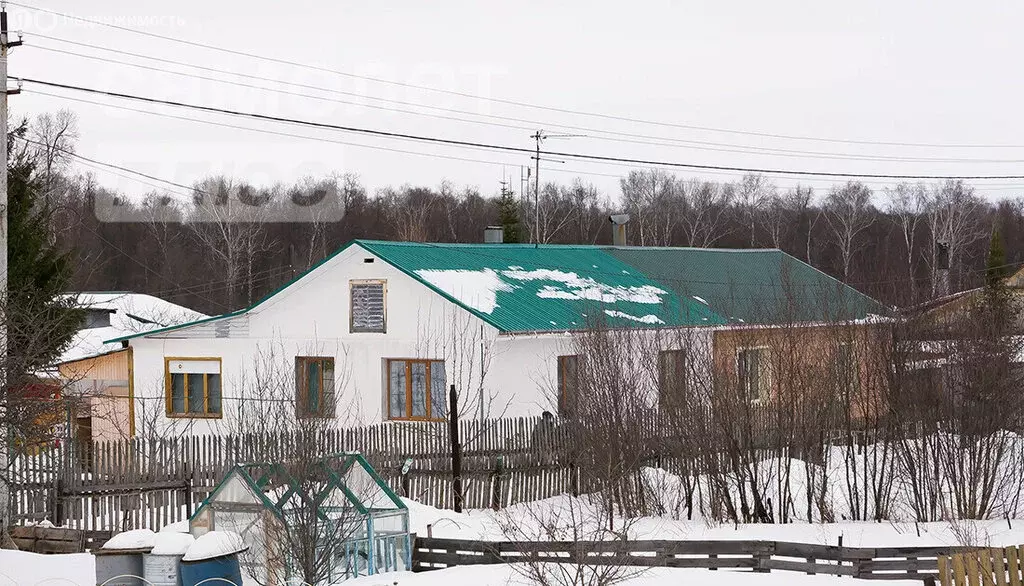Дом в деревня Грибовка, Набережная улица, 13 (51 м) - Фото 0
