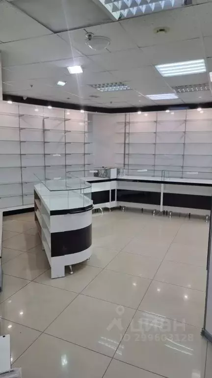 Помещение свободного назначения в Брянская область, Брянск ... - Фото 0