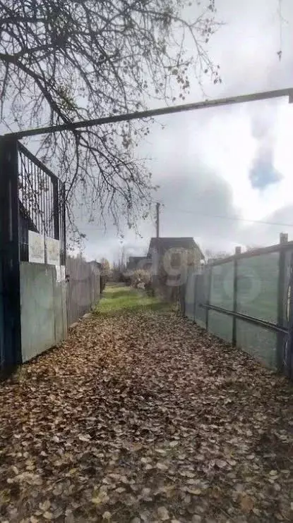 Участок в Ярославская область, Ярославль Волга СНТ, 169 (5.0 сот.) - Фото 2