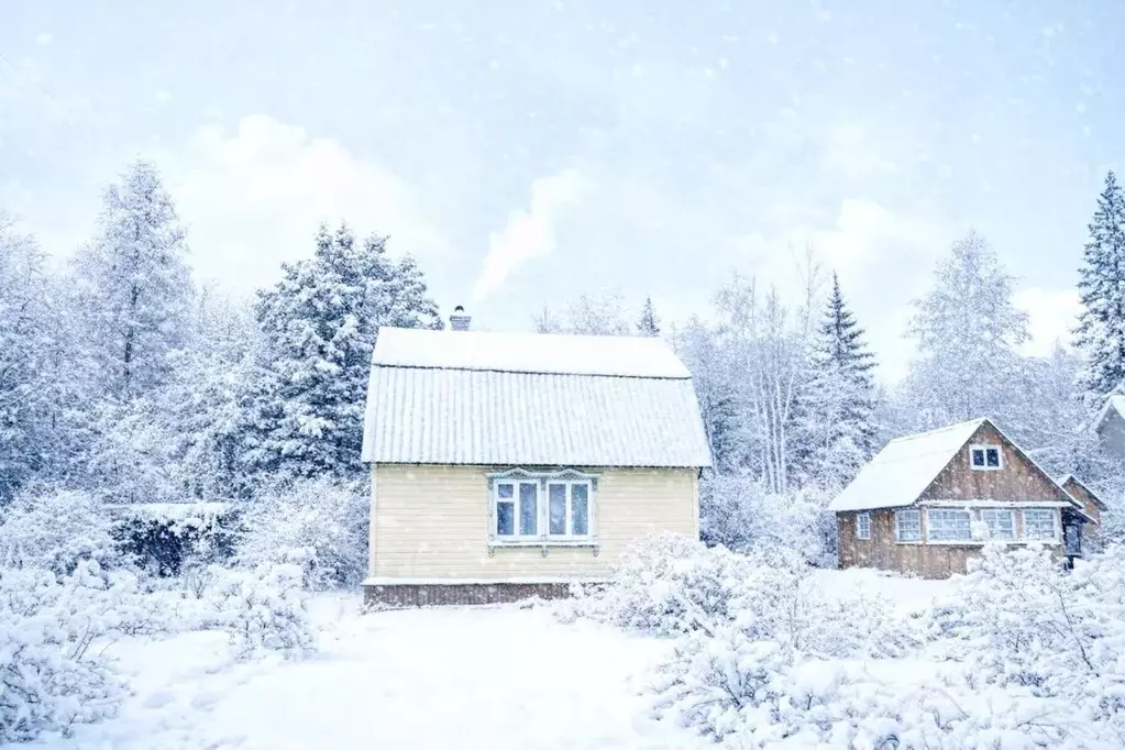 Дом в Московская область, Дмитровский муниципальный округ, Талица СНТ ... - Фото 1