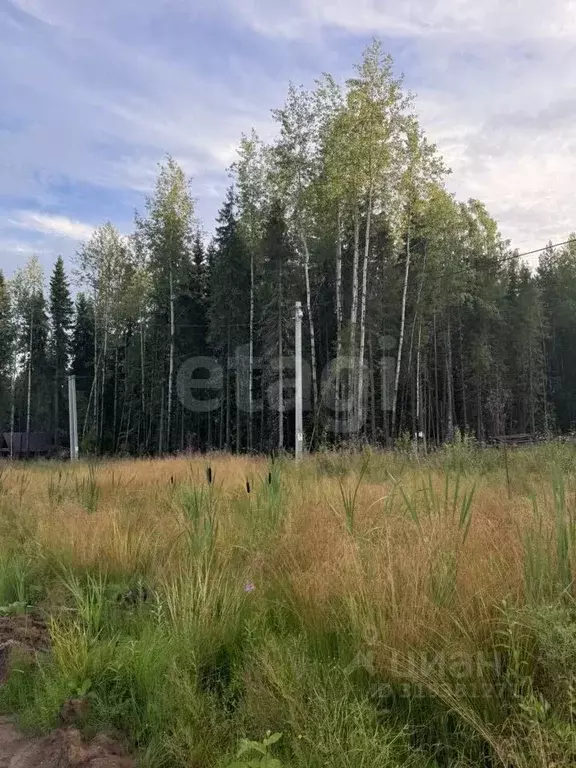 Участок в Коми, Сыктывкар Усадебная ул. (15.5 сот.) - Фото 2