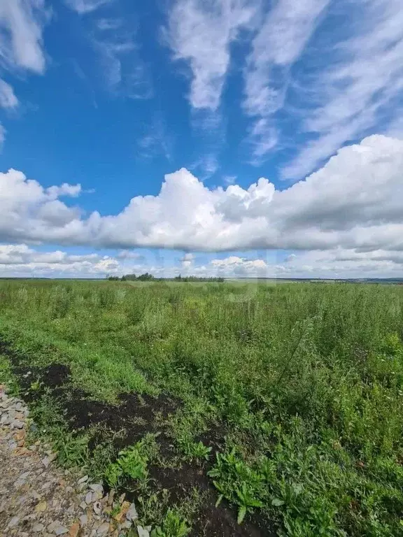 Участок в Мордовия, Лямбирский район, Берсеневское с/пос, Альтерра кп  ... - Фото 2