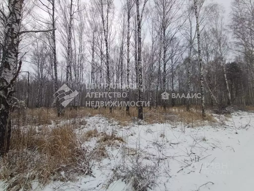 Участок в Рязанская область, Клепиковский район, Ненашкинское с/пос, ... - Фото 2