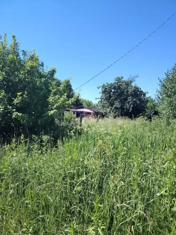 Участок в Тульская область, Тула городской округ, д. Кураково 4 (15.0 ... - Фото 1