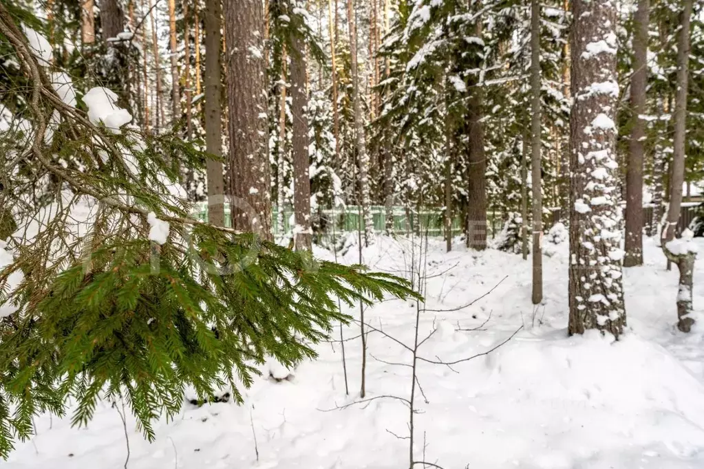 Участок в Санкт-Петербург, Санкт-Петербург, Зеленогорск Курортная ул. ... - Фото 1