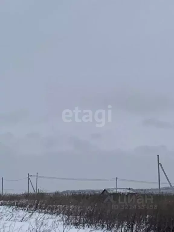 Участок в Белгородская область, Белгородский район, Головинское с/пос, ... - Фото 2