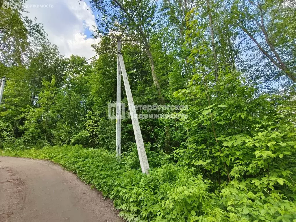 Участок в деревня Вартемяги, КП Вартемяги вилладж (8.68 м) - Фото 1