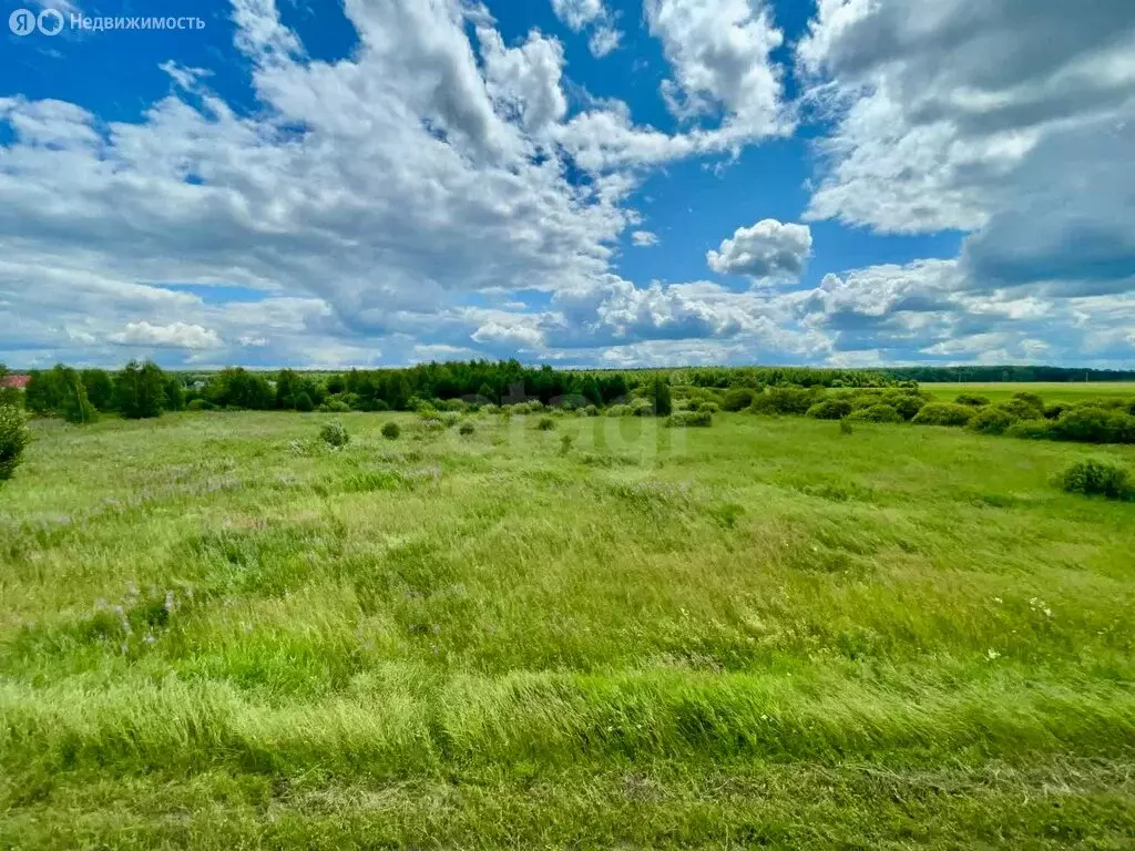 Участок в Тобольский район, Карачинское сельское поселение, село ... - Фото 1