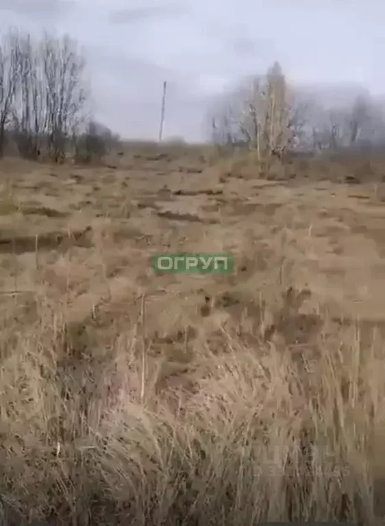 Участок в Пензенская область, Городищенский район, с. Чаадаевка ул. ... - Фото 2