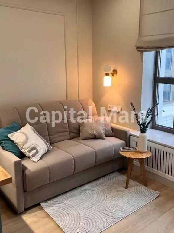 1-к кв. Санкт-Петербург ул. Челюскина, 6 (29.0 м) - Фото 1